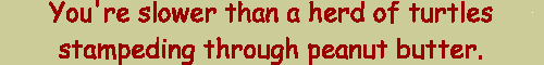 You're slower than a herd of turtles stampeding through peanut butter. 