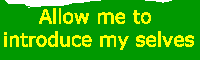 Allow me to introduce my selves