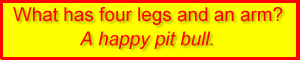 What has four legs and an arm?  A happy pit bull<BR>